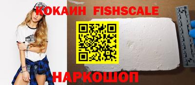 шишки Новодвинск