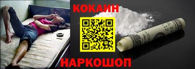 шишки Новодвинск