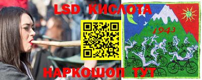 шишки Новодвинск