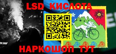 шишки Новодвинск