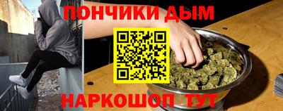 шишки Новодвинск