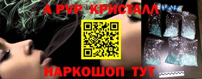 шишки Новодвинск
