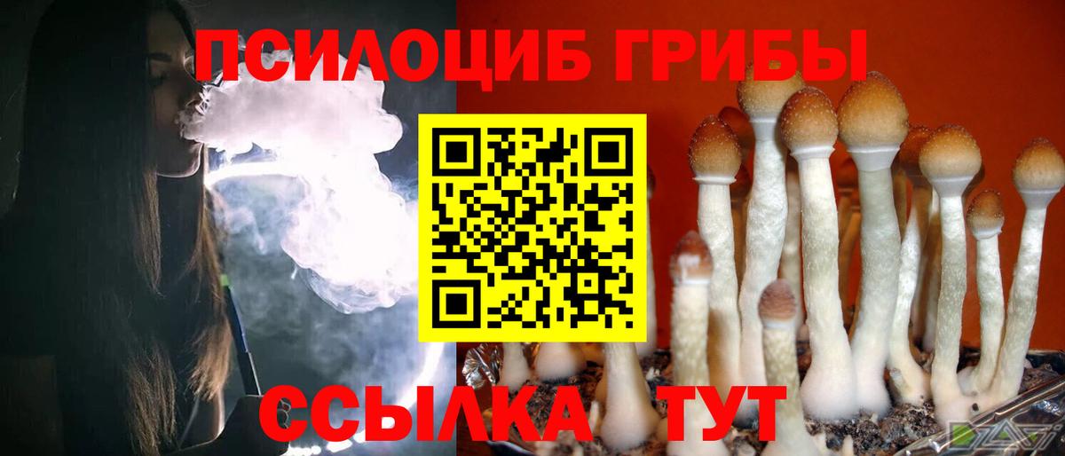 Тосно  Псилоцибиновые грибы мухоморы  хочу наркоту  Вход с VPN 